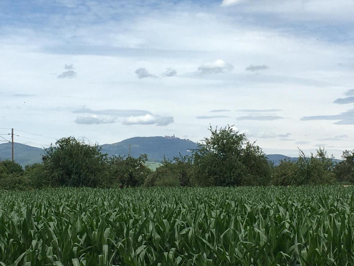 Gite D'Alsace L'Escale أوستا المظهر الخارجي الصورة