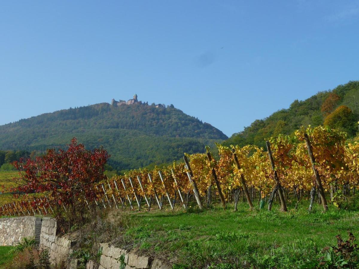 Gite D'Alsace L'Escale أوستا المظهر الخارجي الصورة